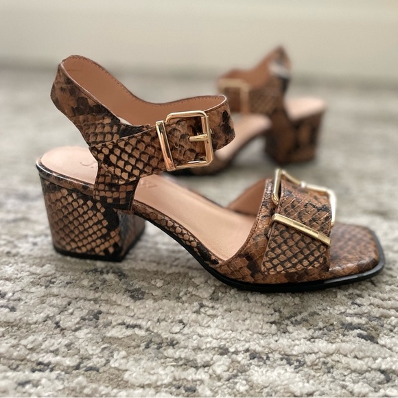 J.Crew Dylan Brown Leather Buckle Block Heel Sandals Size 6 Snake Skin Print - Picture 6 of 10